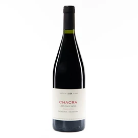 2009 Bodega Chacra Pinot Noir Rio Negro Treinta y Dos - 75cl