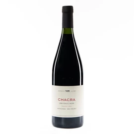 2008 Bodega Chacra Pinot Noir Rio Negro Treinta y Dos - 75cl